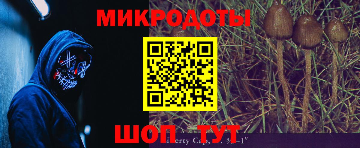 Галлюциногенные грибы Psilocybine cubensis Медногорск