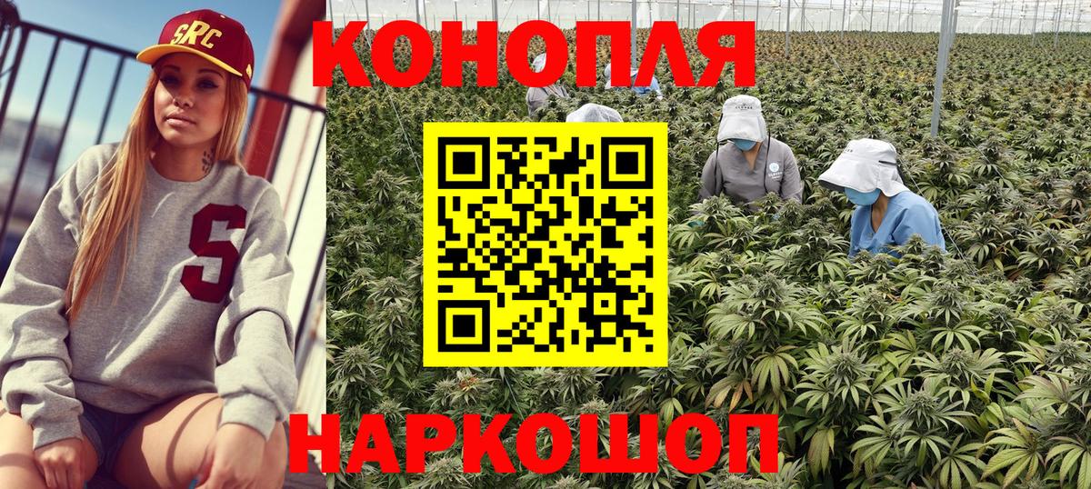 Шишки марихуана Bruce Banner  Бошки Шишки Amnesia  Канабис конопля  Конопля Amnesia  Вход с VPN  Медногорск 