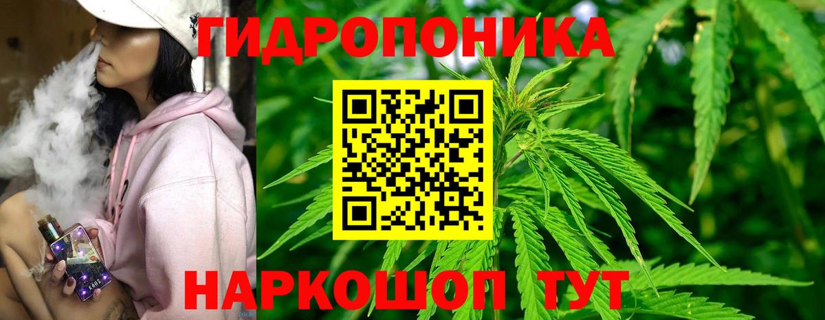 Бошки марихуана Bruce Banner Медногорск